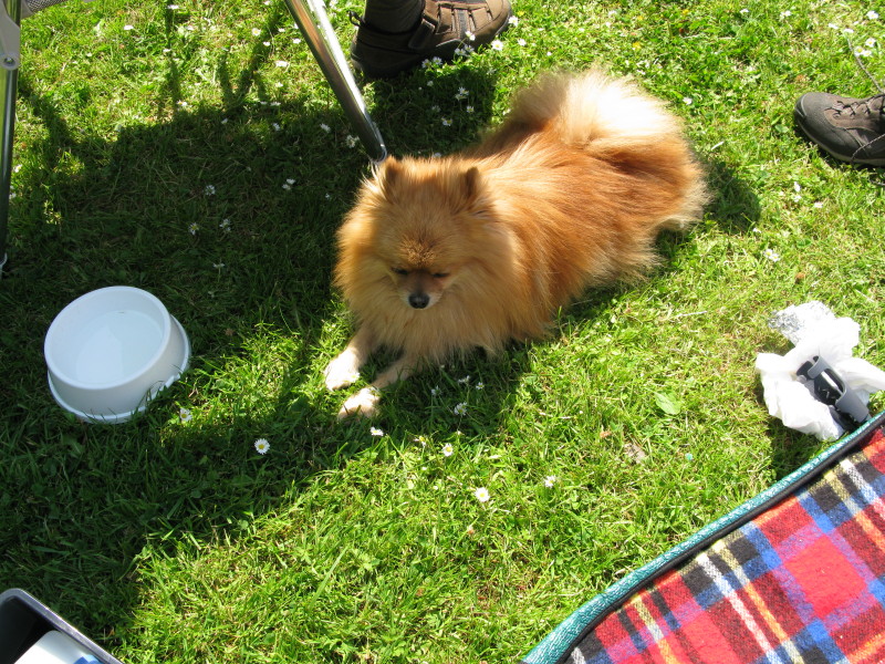 O20090530_0046.JPG